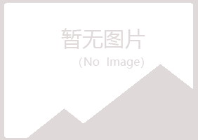 青岛黄岛苍白航空航天有限公司